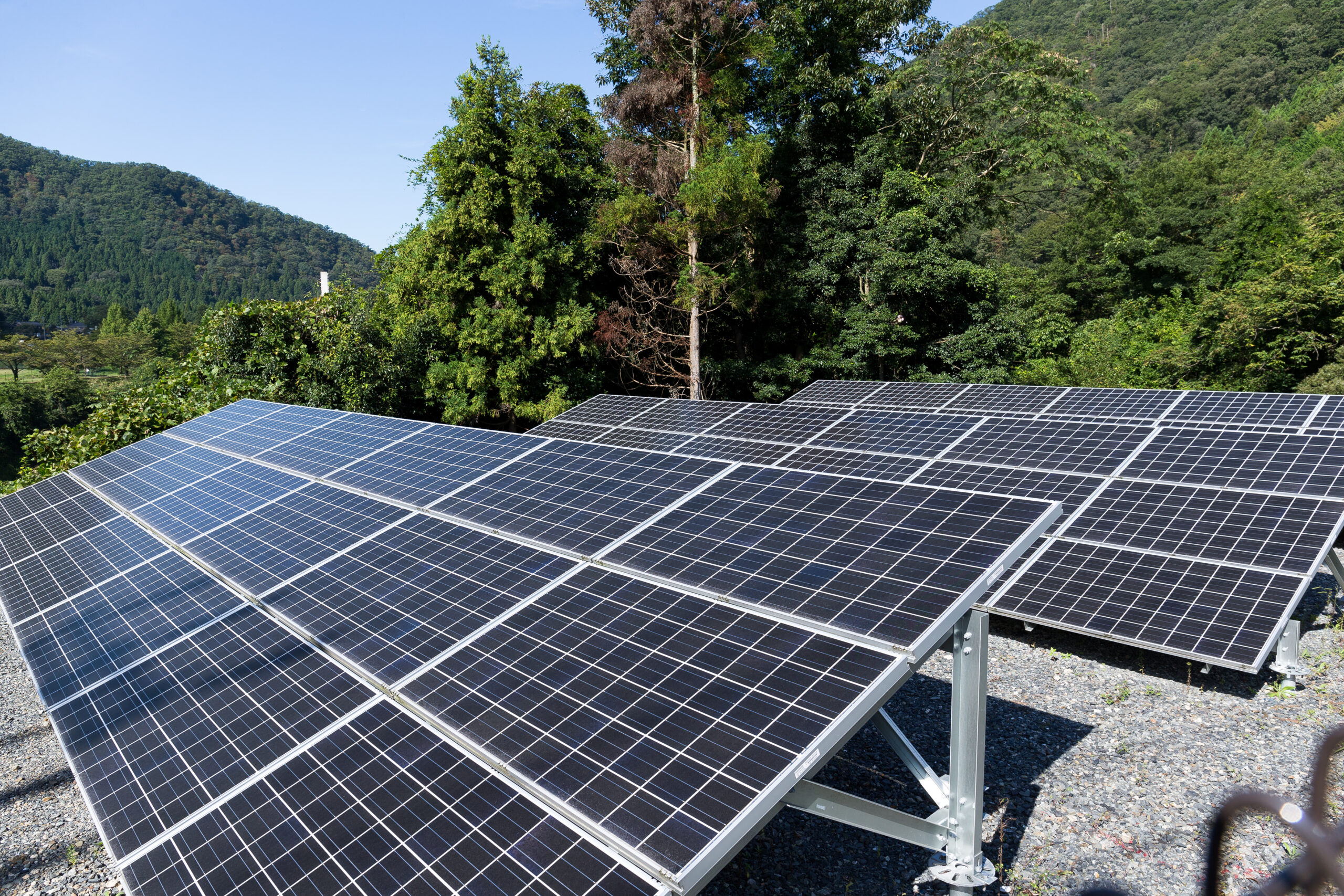 Painéis solares com árvores ao fundo